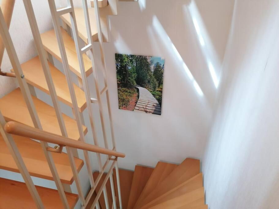 Ferienhaus Hoher Weg - Urlaub, Wandern, Downhill Und Workation Am Nationalpark Harz Санкт Андреасберг Екстериор снимка